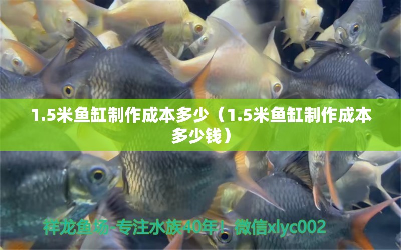 1.5米魚缸制作成本多少（1.5米魚缸制作成本多少錢）