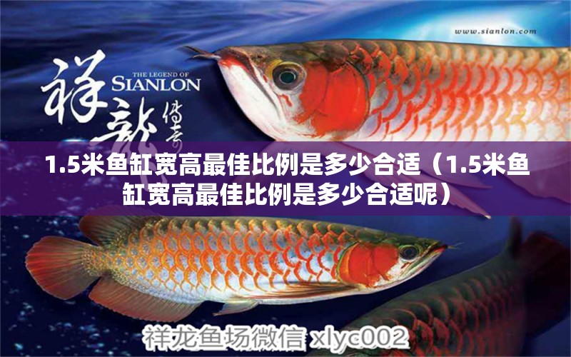 1.5米魚缸寬高最佳比例是多少合適（1.5米魚缸寬高最佳比例是多少合適呢）