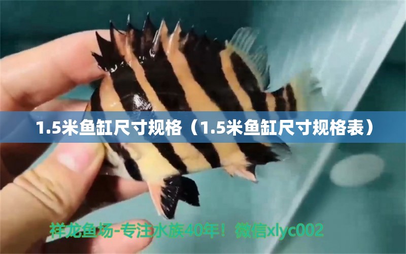 1.5米魚缸尺寸規(guī)格（1.5米魚缸尺寸規(guī)格表）