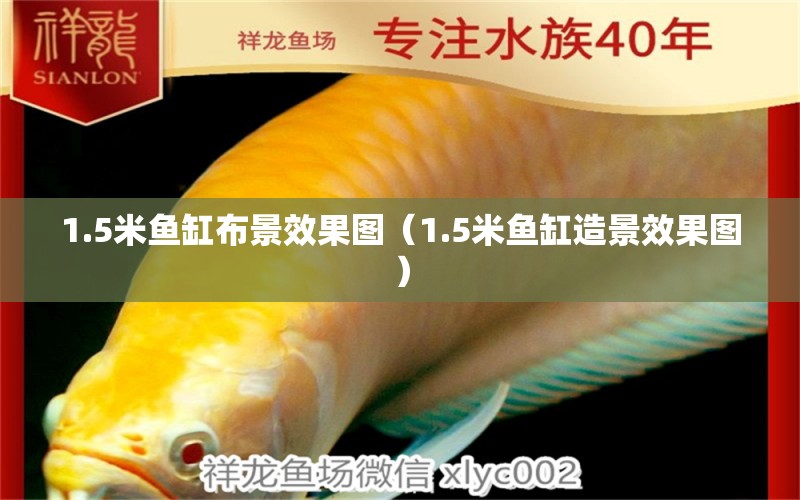 1.5米魚(yú)缸布景效果圖（1.5米魚(yú)缸造景效果圖） 其他品牌魚(yú)缸