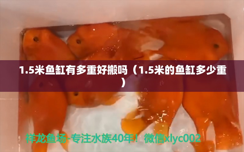 1.5米魚缸有多重好搬嗎（1.5米的魚缸多少重）