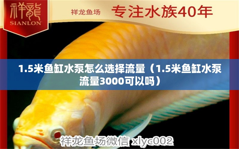 1.5米魚缸水泵怎么選擇流量（1.5米魚缸水泵流量3000可以嗎）