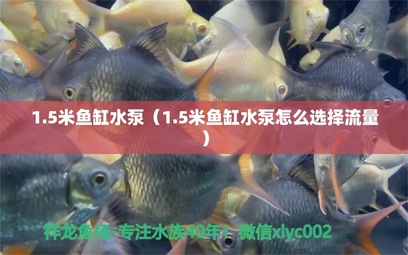 1.5米魚缸水泵（1.5米魚缸水泵怎么選擇流量） 魚缸水泵