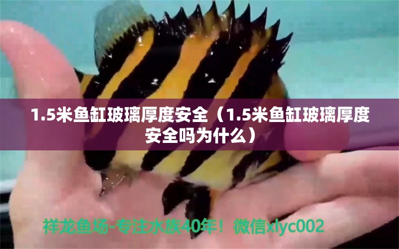 1.5米魚缸玻璃厚度安全（1.5米魚缸玻璃厚度安全嗎為什么）