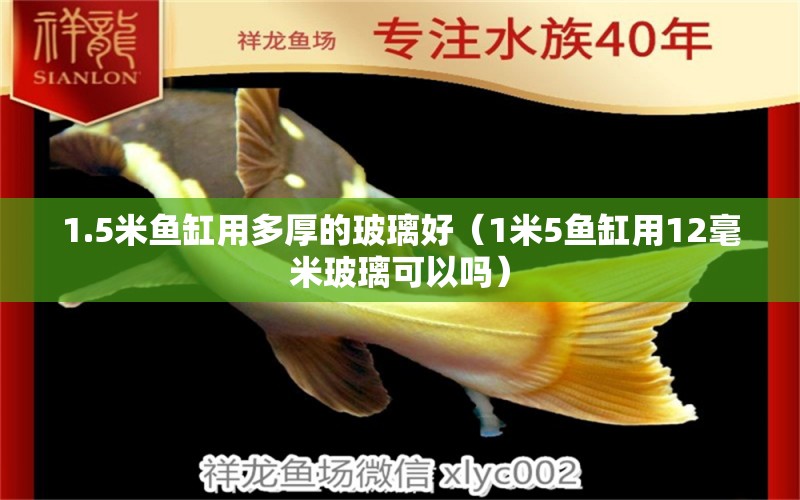 1.5米魚(yú)缸用多厚的玻璃好（1米5魚(yú)缸用12毫米玻璃可以嗎） 養(yǎng)魚(yú)知識(shí) 第1張