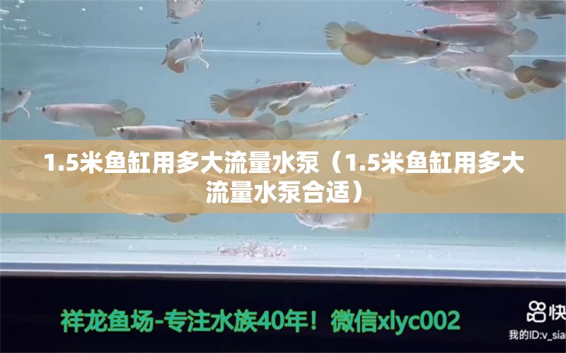 1.5米魚缸用多大流量水泵（1.5米魚缸用多大流量水泵合適）