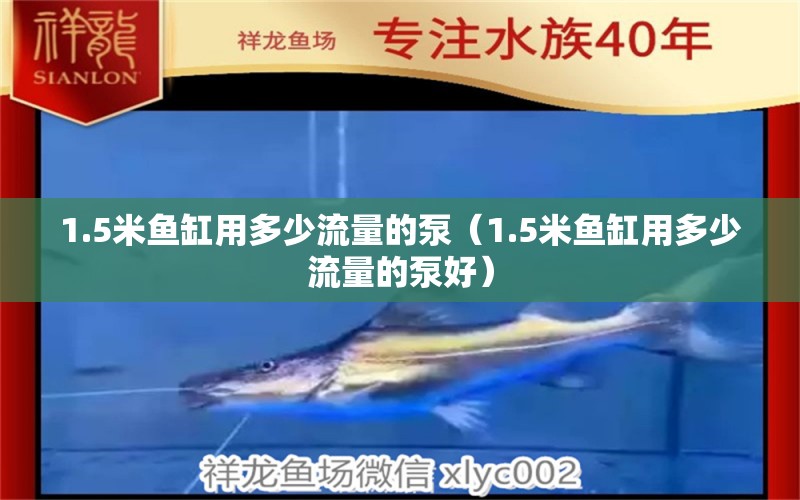 1.5米魚缸用多少流量的泵（1.5米魚缸用多少流量的泵好）