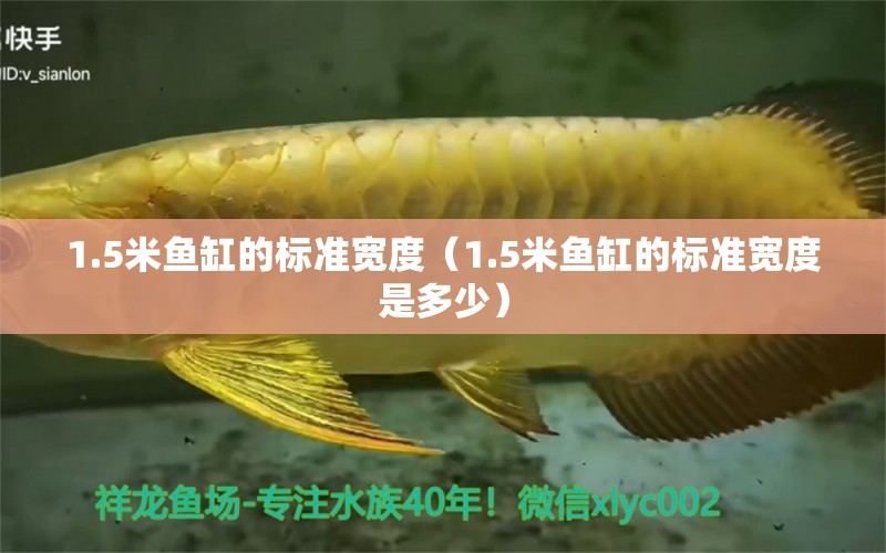 1.5米魚(yú)缸的標(biāo)準(zhǔn)寬度（1.5米魚(yú)缸的標(biāo)準(zhǔn)寬度是多少）