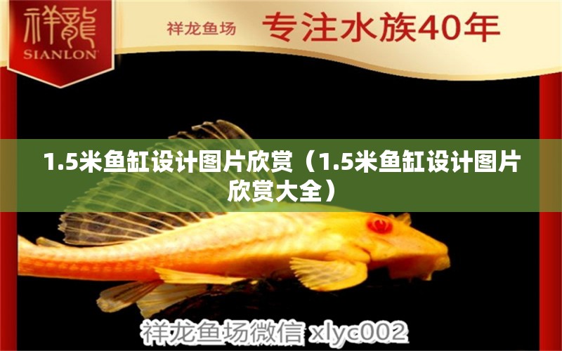 1.5米魚缸設(shè)計圖片欣賞（1.5米魚缸設(shè)計圖片欣賞大全）