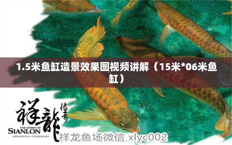 1.5米魚缸造景效果圖視頻講解（15米*06米魚缸） 海水魚