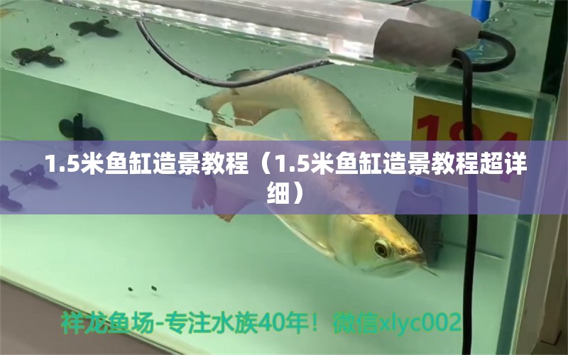 1.5米魚缸造景教程（1.5米魚缸造景教程超詳細(xì)） 魚缸百科