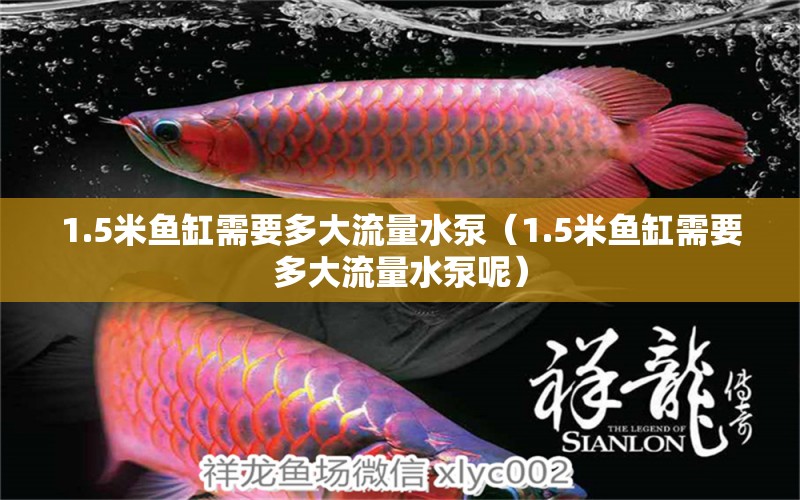 1.5米魚缸需要多大流量水泵（1.5米魚缸需要多大流量水泵呢）