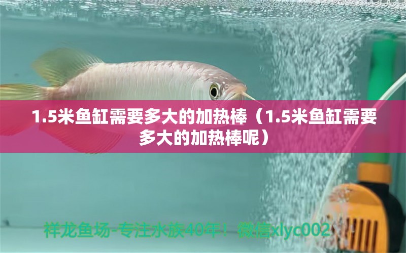 1.5米魚缸需要多大的加熱棒（1.5米魚缸需要多大的加熱棒呢）