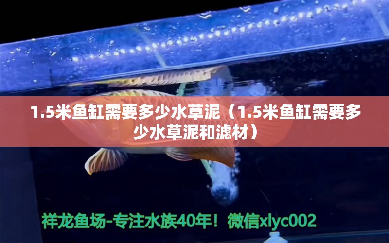 1.5米魚缸需要多少水草泥（1.5米魚缸需要多少水草泥和濾材） 水草