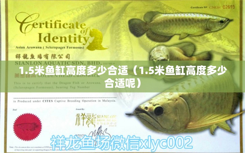 1.5米魚缸高度多少合適（1.5米魚缸高度多少合適呢）