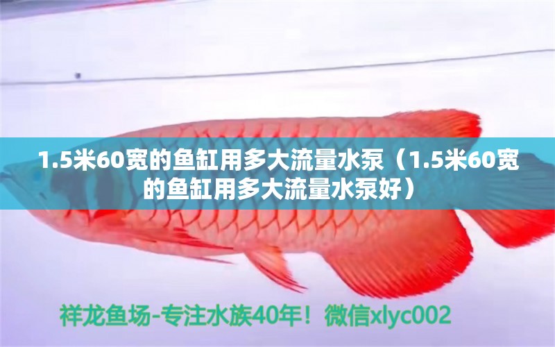 1.5米60寬的魚缸用多大流量水泵（1.5米60寬的魚缸用多大流量水泵好）