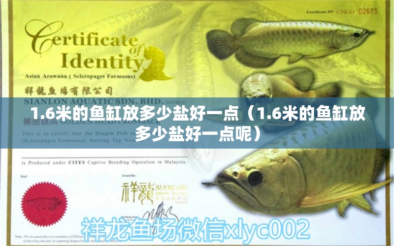 1.6米的魚缸放多少鹽好一點(diǎn)（1.6米的魚缸放多少鹽好一點(diǎn)呢）