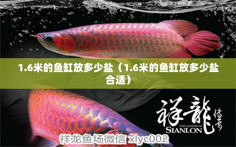 1.6米的魚缸放多少鹽（1.6米的魚缸放多少鹽合適） 魚缸百科