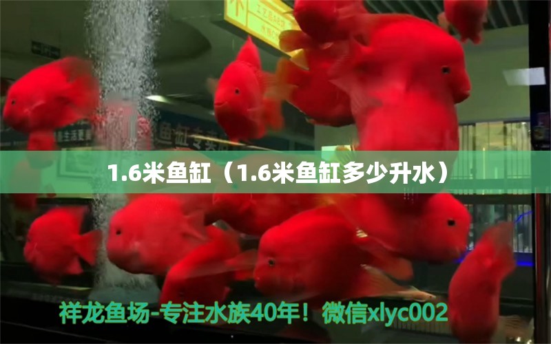 1.6米魚(yú)缸（1.6米魚(yú)缸多少升水）