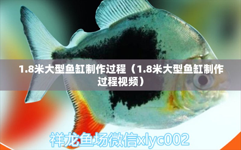 1.8米大型魚缸制作過程（1.8米大型魚缸制作過程視頻）