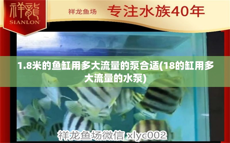 1.8米的魚缸用多大流量的泵合適(18的缸用多大流量的水泵) 泰龐海蓮魚