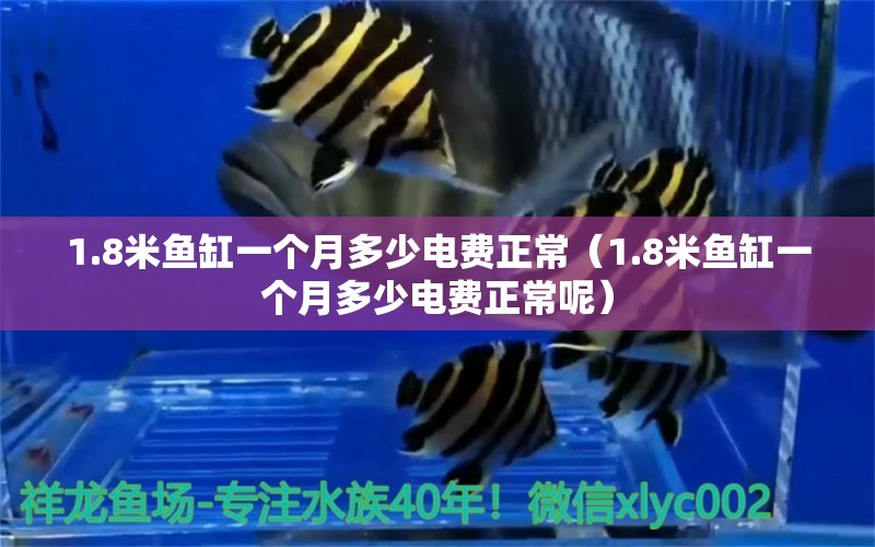 1.8米魚缸一個月多少電費正常（1.8米魚缸一個月多少電費正常呢）