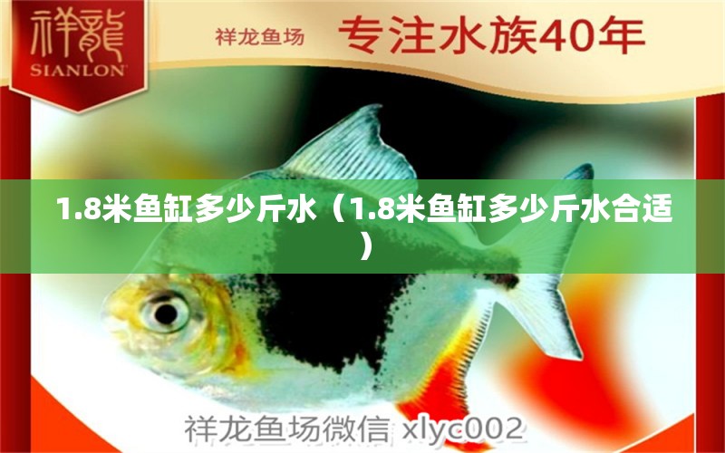 1.8米魚缸多少斤水（1.8米魚缸多少斤水合適） 魚缸百科