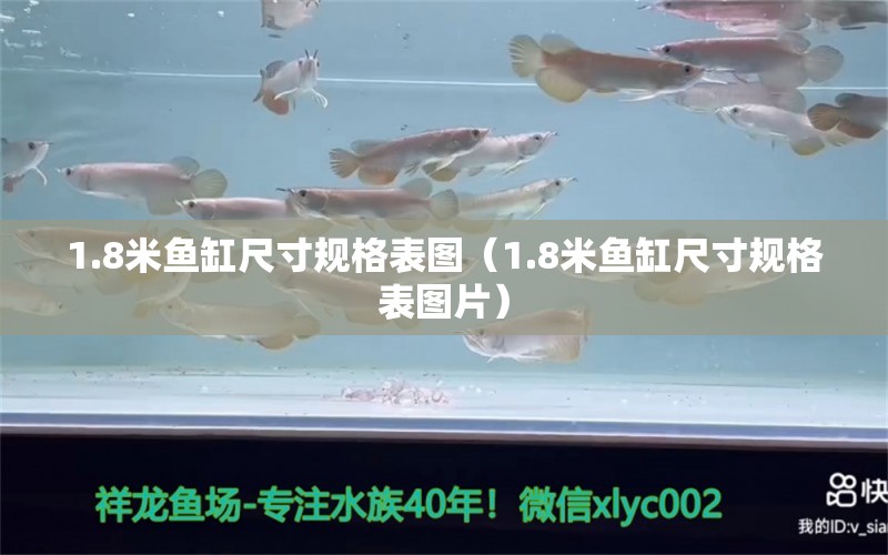 1.8米魚缸尺寸規(guī)格表圖（1.8米魚缸尺寸規(guī)格表圖片） 祥龍水族醫(yī)院