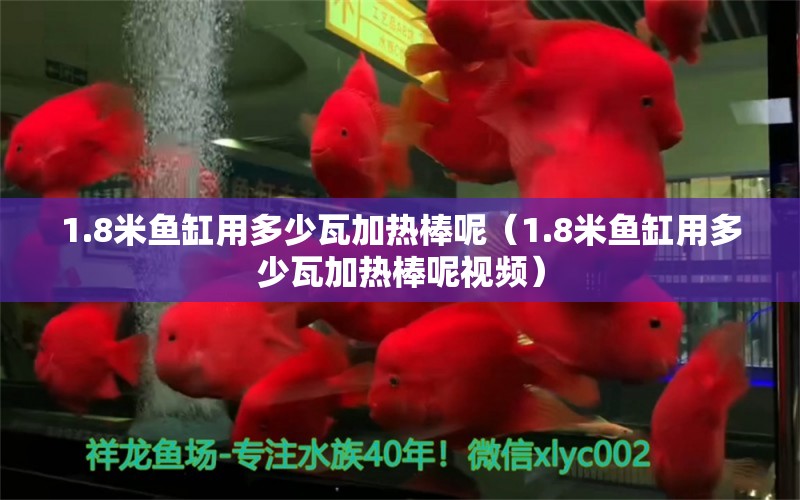 1.8米魚缸用多少瓦加熱棒呢（1.8米魚缸用多少瓦加熱棒呢視頻） 魚缸百科