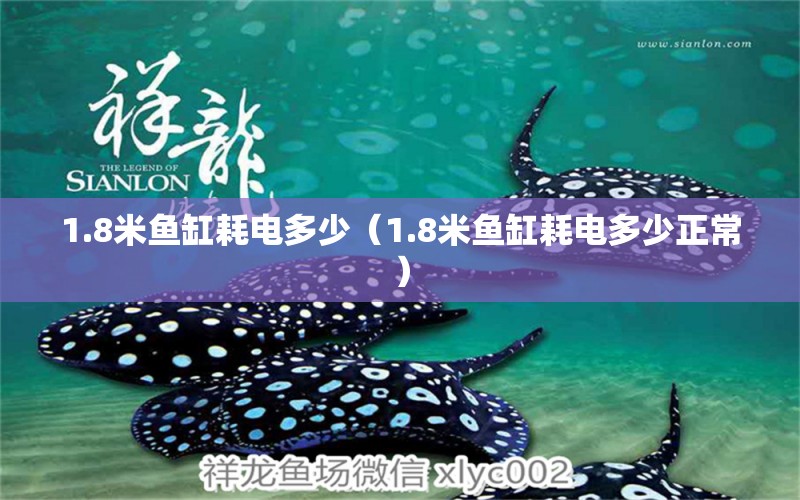 1.8米魚缸耗電多少（1.8米魚缸耗電多少正常）