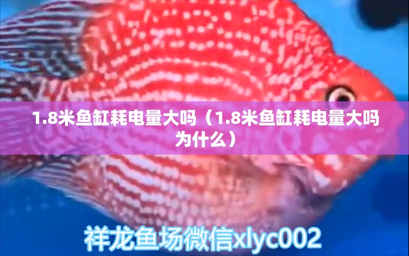 1.8米魚缸耗電量大嗎（1.8米魚缸耗電量大嗎為什么）