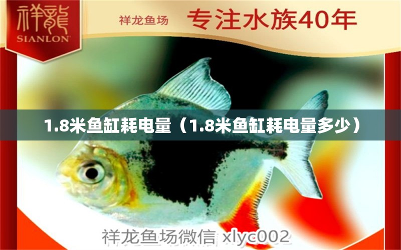 1.8米魚(yú)缸耗電量（1.8米魚(yú)缸耗電量多少） 魚(yú)缸百科