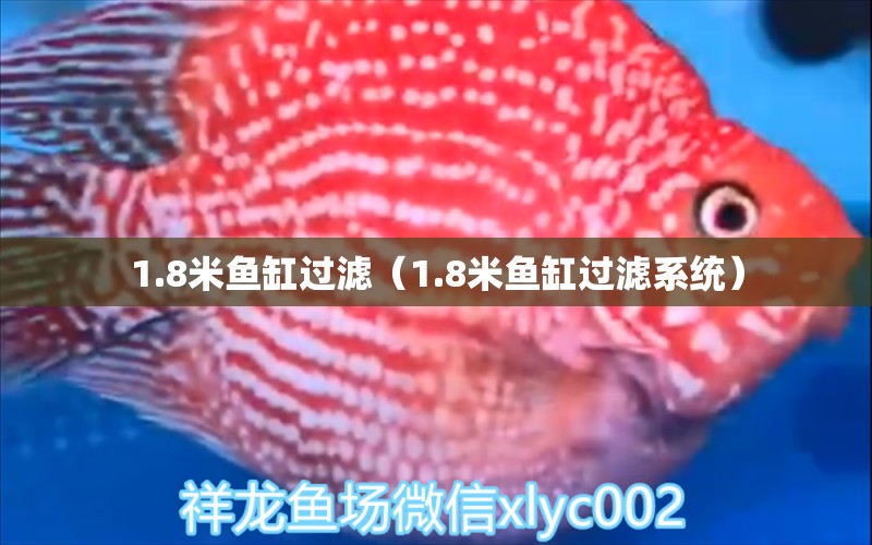 1.8米魚缸過濾（1.8米魚缸過濾系統(tǒng)） 其他品牌魚缸