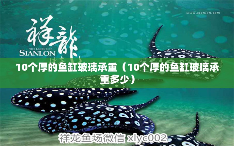 10個厚的魚缸玻璃承重（10個厚的魚缸玻璃承重多少）