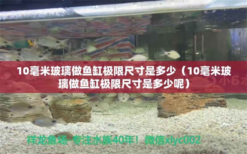 10毫米玻璃做魚缸極限尺寸是多少（10毫米玻璃做魚缸極限尺寸是多少呢）