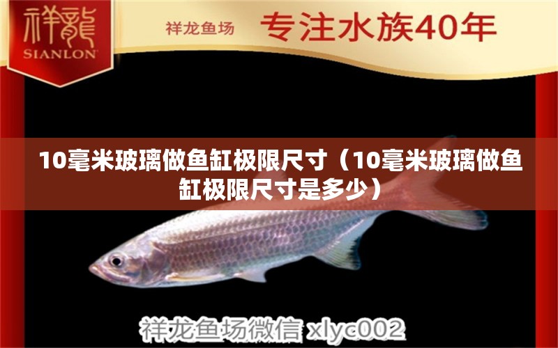 10毫米玻璃做魚缸極限尺寸（10毫米玻璃做魚缸極限尺寸是多少）