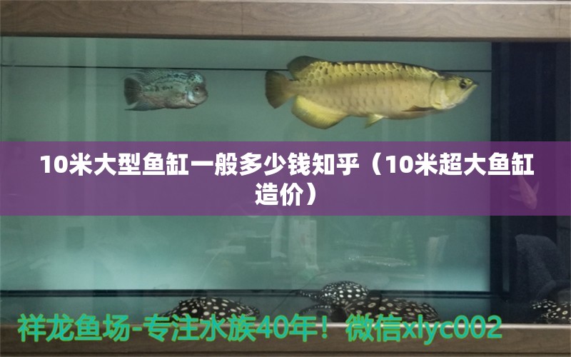 10米大型魚缸一般多少錢知乎（10米超大魚缸造價(jià)）