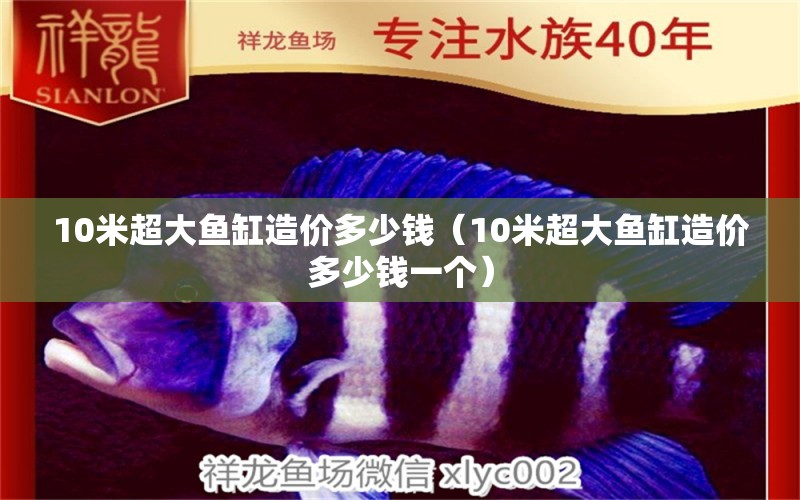 10米超大魚缸造價(jià)多少錢（10米超大魚缸造價(jià)多少錢一個(gè)）