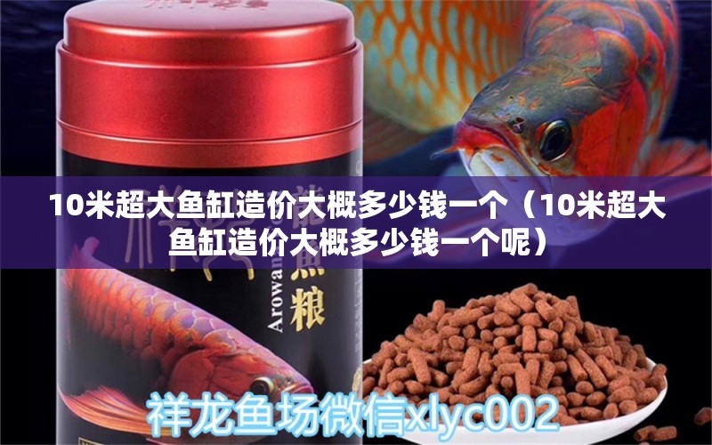 10米超大魚缸造價(jià)大概多少錢一個(gè)（10米超大魚缸造價(jià)大概多少錢一個(gè)呢）