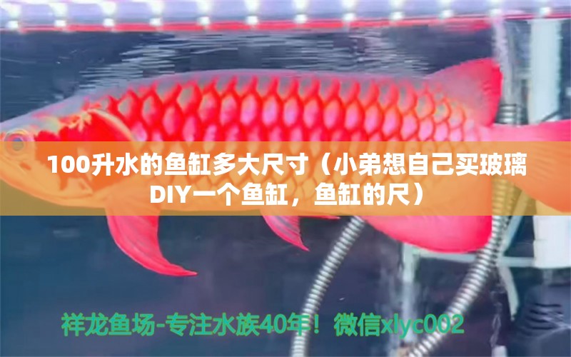 100升水的魚缸多大尺寸（小弟想自己買玻璃DIY一個(gè)魚缸，魚缸的尺） 狗頭魚 第2張