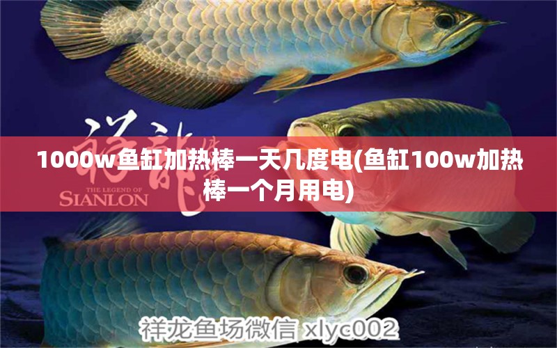 1000w魚缸加熱棒一天幾度電(魚缸100w加熱棒一個(gè)月用電)