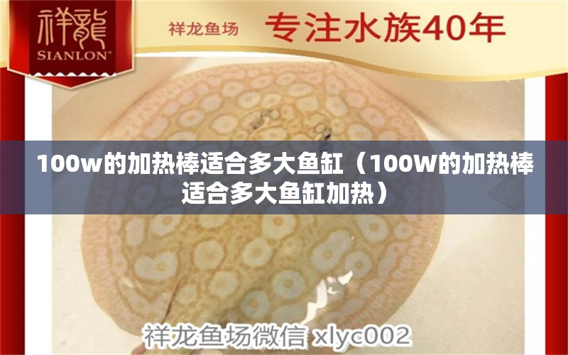 100w的加熱棒適合多大魚缸（100W的加熱棒適合多大魚缸加熱） 祥龍水族醫(yī)院