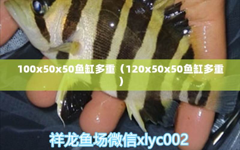 100x50x50魚缸多重（120x50x50魚缸多重）