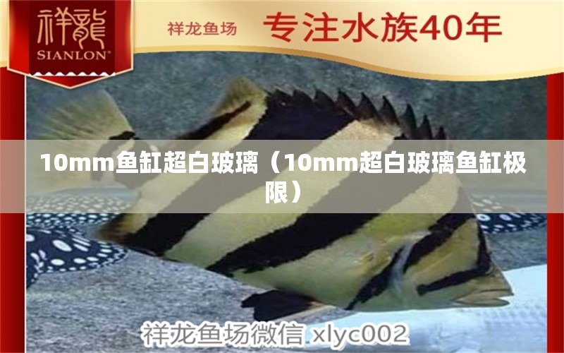 10mm魚缸超白玻璃（10mm超白玻璃魚缸極限）