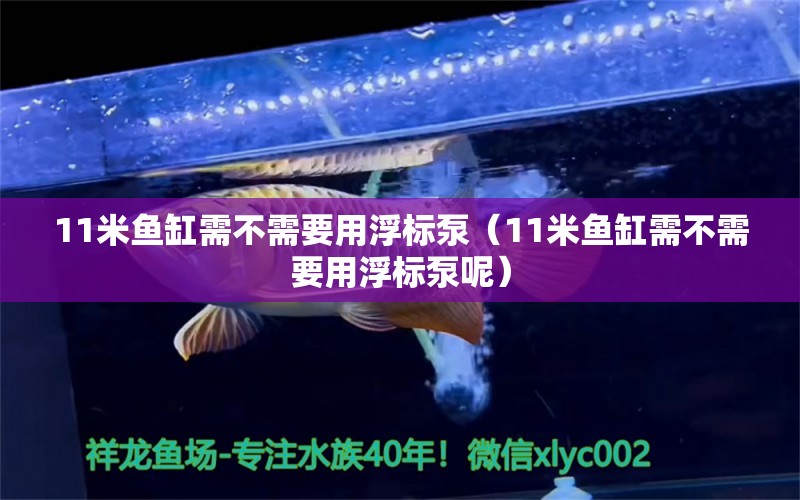 11米魚缸需不需要用浮標(biāo)泵（11米魚缸需不需要用浮標(biāo)泵呢） 其他品牌魚缸