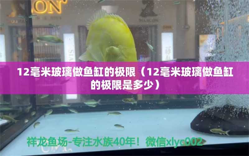 12毫米玻璃做魚缸的極限（12毫米玻璃做魚缸的極限是多少）