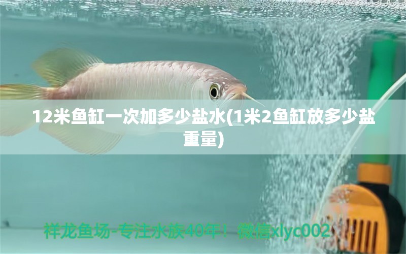 12米魚(yú)缸一次加多少鹽水(1米2魚(yú)缸放多少鹽重量) 羽毛刀魚(yú)苗