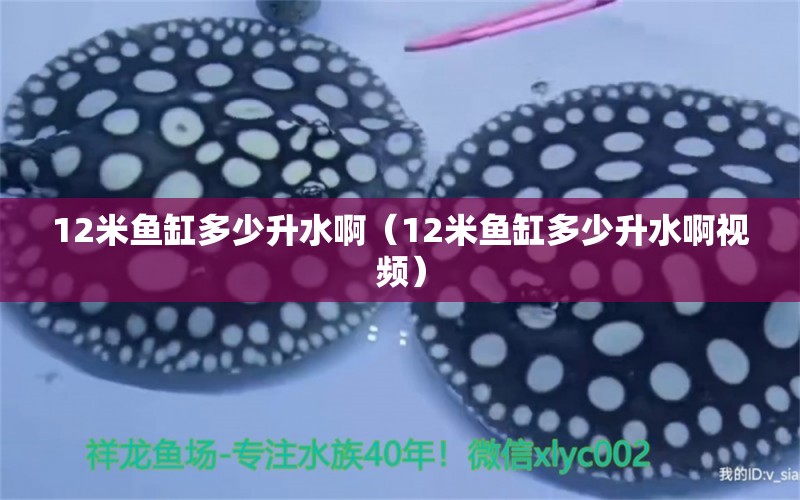 12米魚(yú)缸多少升水?。?2米魚(yú)缸多少升水啊視頻）