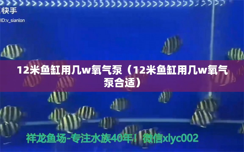 12米魚缸用幾w氧氣泵（12米魚缸用幾w氧氣泵合適）