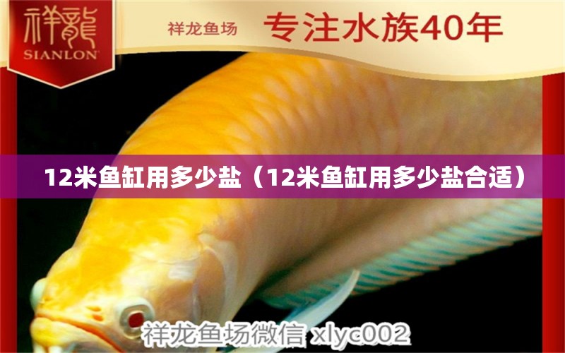 12米魚缸用多少鹽（12米魚缸用多少鹽合適）